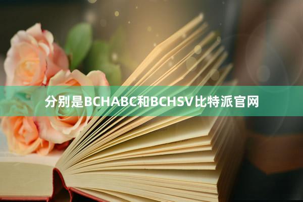 分别是BCHABC和BCHSV比特派官网