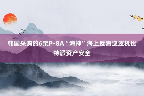 韩国采购的6架P-8A“海神”海上反潜巡逻机比特派资产安全