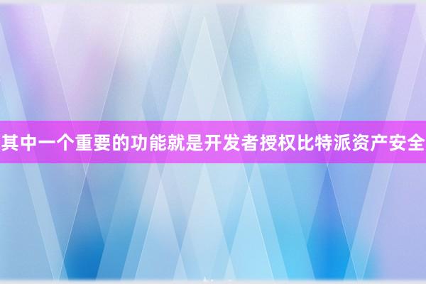 其中一个重要的功能就是开发者授权比特派资产安全