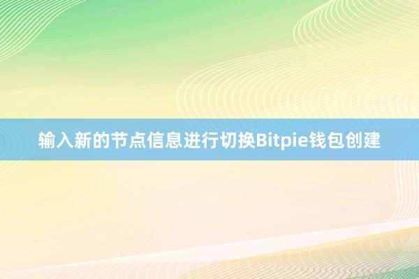 输入新的节点信息进行切换Bitpie钱包创建