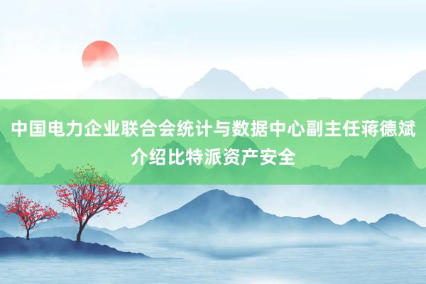 中国电力企业联合会统计与数据中心副主任蒋德斌介绍比特派资产安全