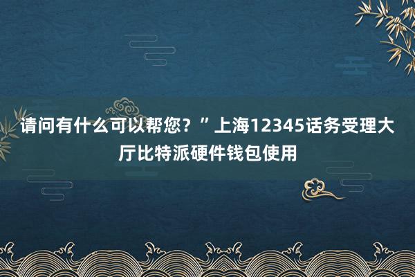 请问有什么可以帮您？”上海12345话务受理大厅比特派硬件钱包使用