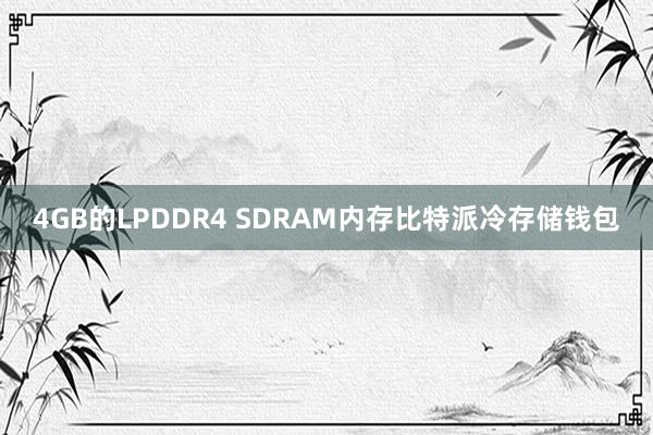 4GB的LPDDR4 SDRAM内存比特派冷存储钱包