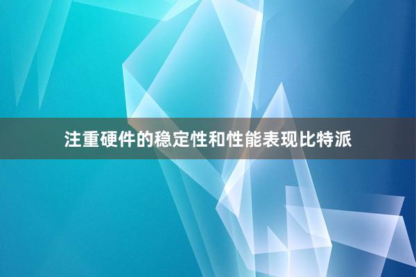 注重硬件的稳定性和性能表现比特派