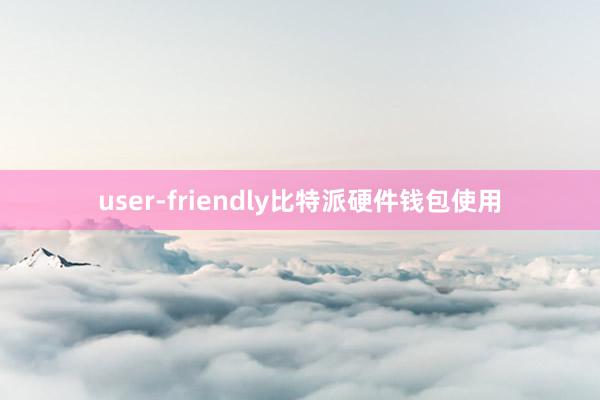 user-friendly比特派硬件钱包使用