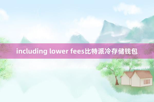 including lower fees比特派冷存储钱包