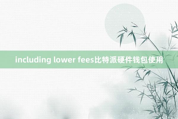 including lower fees比特派硬件钱包使用