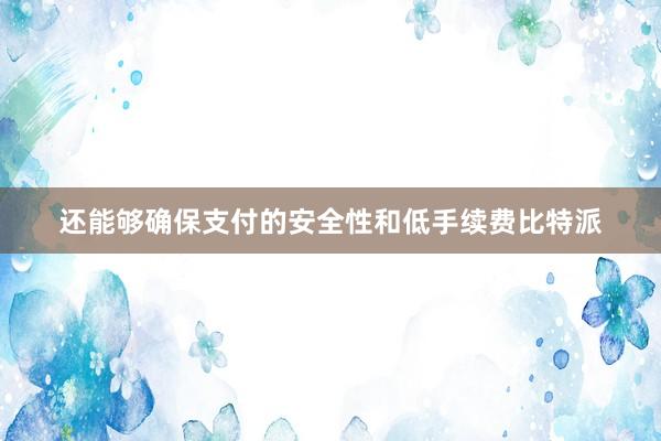 还能够确保支付的安全性和低手续费比特派