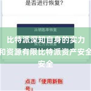 比特派深知自身的实力和资源有限比特派资产安全